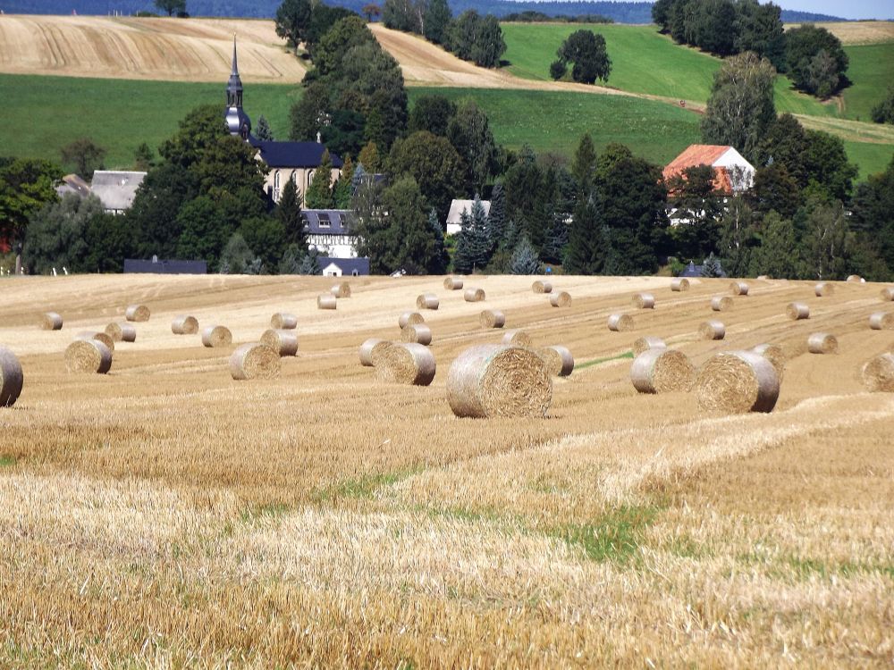 Ortsansicht von Erlbach-Kirchberg